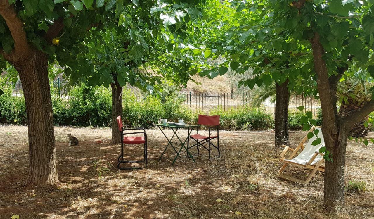 Ample Modern Country Home Nea Epidavros Dış mekan fotoğraf
